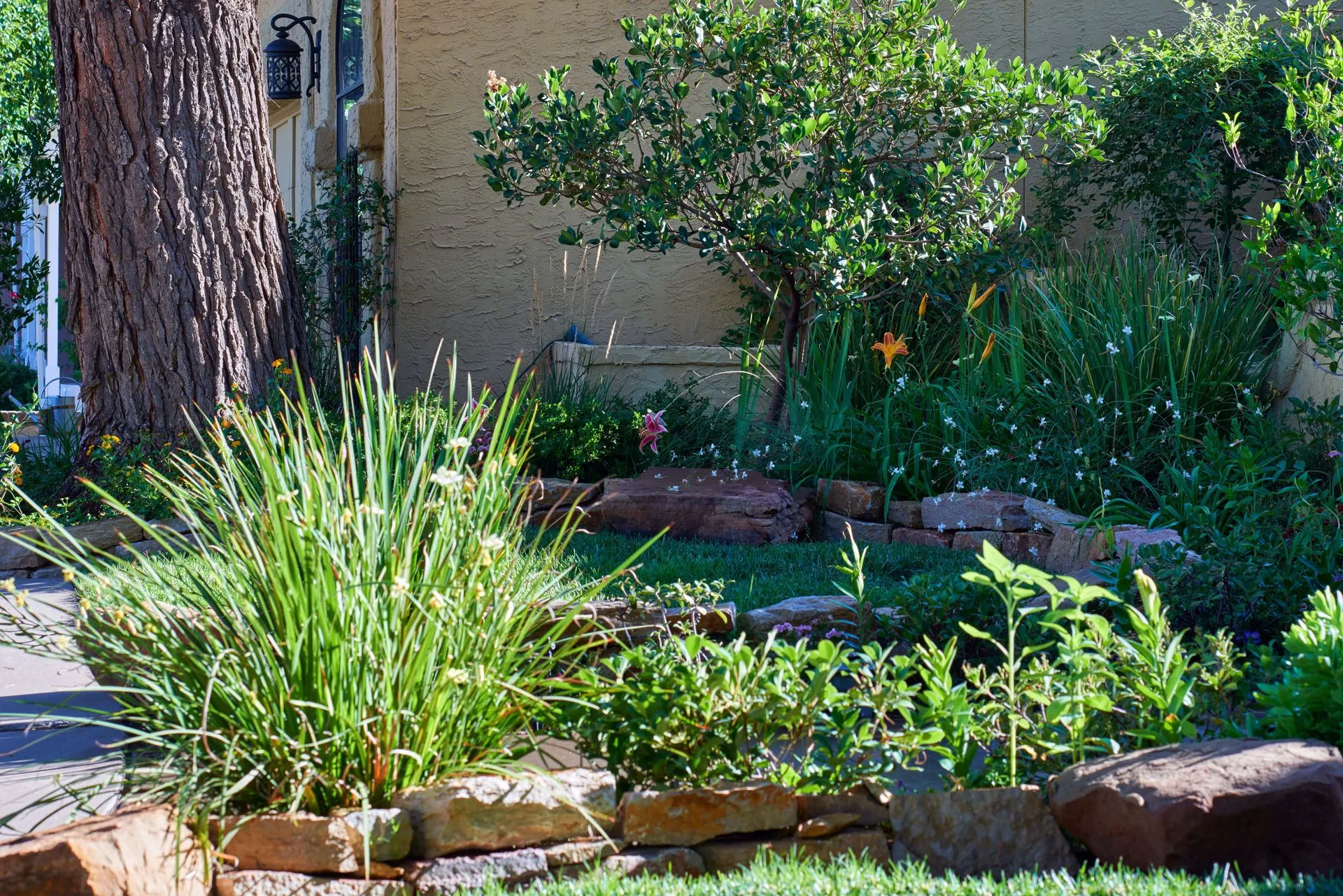 A vibrant garden bed with various green plants, flowers, and a brick border next to a tree.
